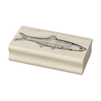 Vintage Anchovy Fish Rubber Art Stamp