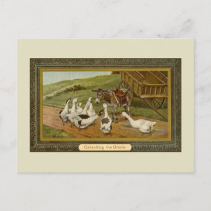 Vintage animal illustration Consulting the Oracle Postcard