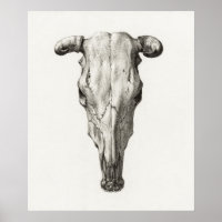 Vintage Animal Skull