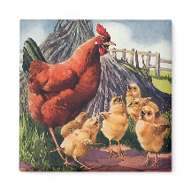 Vintage Animals, Chicken with Baby Chicks on Farm