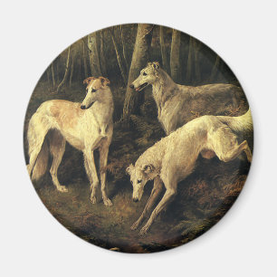 Vintage Animals, Greyhound Hunting Dogs in Forest Magnet