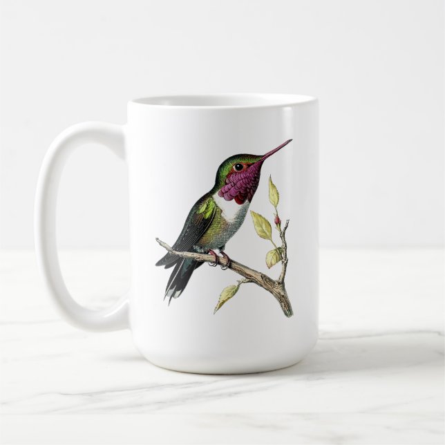 Vintage Anna's Hummingbird Illustration Coffee Mug (Left)