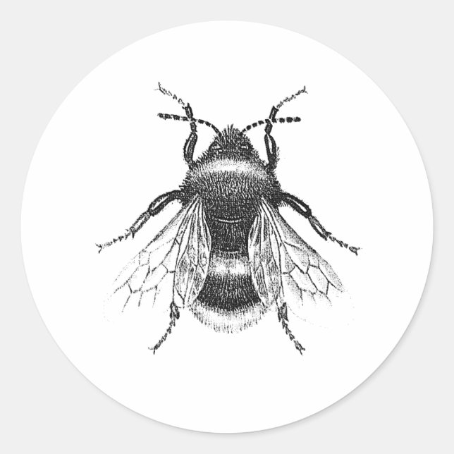 Vintage, Antique Bumble Bee Illustration Classic Round Sticker (Front)