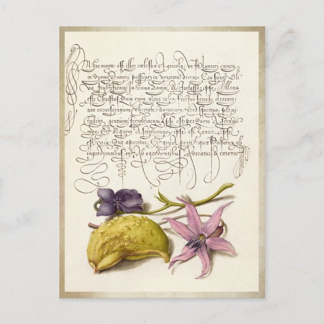 Vintage antique calligraphy botanical illustration holiday postcard (Front)