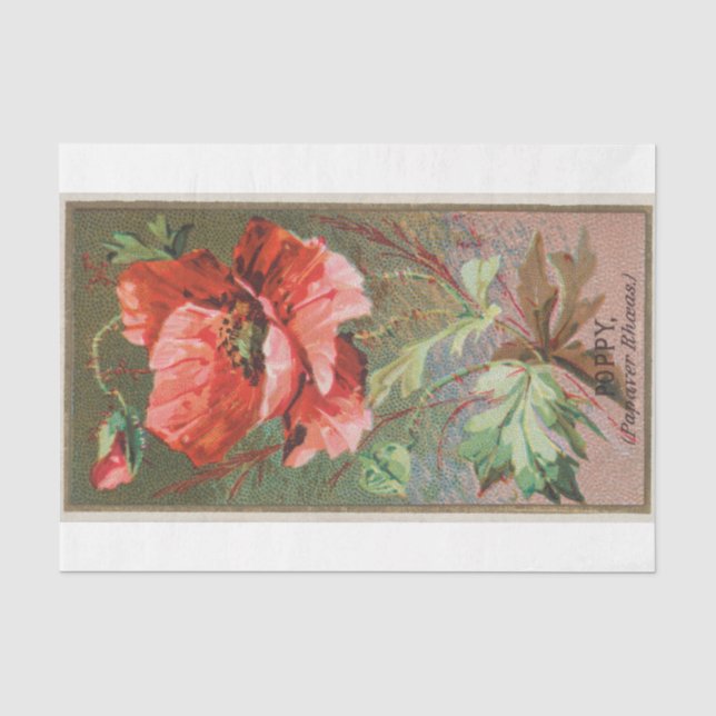 Vintage Antique Classic Poppy Flower Tissue Paper (Front)