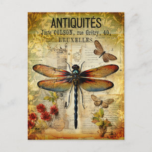 Vintage Antique Dragonfly Postcard