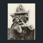 Vintage Antique Funny Nostalgia cute cat/kitten Postcard<br><div class="desc">Vintage Antique cute Cat/Kitten in Black and White Design. This Photo is taken from a true Vintage postcard the Name of the Postcard is The Gentleman Next Door, Such a cute funny Cat photo. I have more Vintage photos on different products in my store, would make Beautiful Gifts or Collectables....</div>