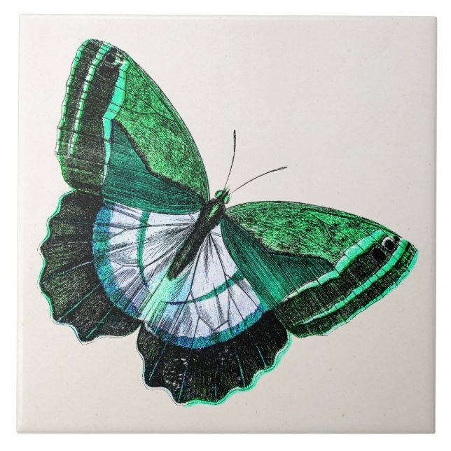 Vintage Antique Green Butterfly 1800s Illustration Tile (Front)