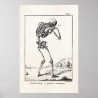 Vintage Antique Human Skeleton Medical Anatomy