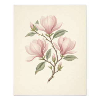 Vintage Antique Magnolia Branch Elegant Plant Art