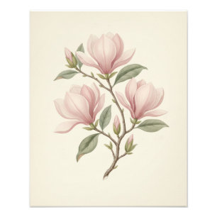 Vintage Antique Magnolia Branch Elegant Plant Art Photo Print
