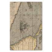 Vintage Antique Old World Map Tissue Paper (Vertical)