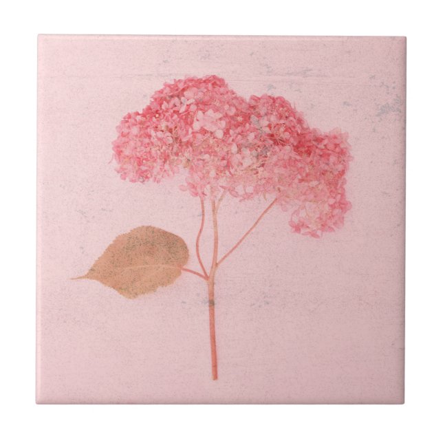 Vintage Antique Pink Hydrangea Country Floral Tile (Front)