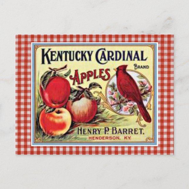 Vintage Apple Ad Postcard (Front)