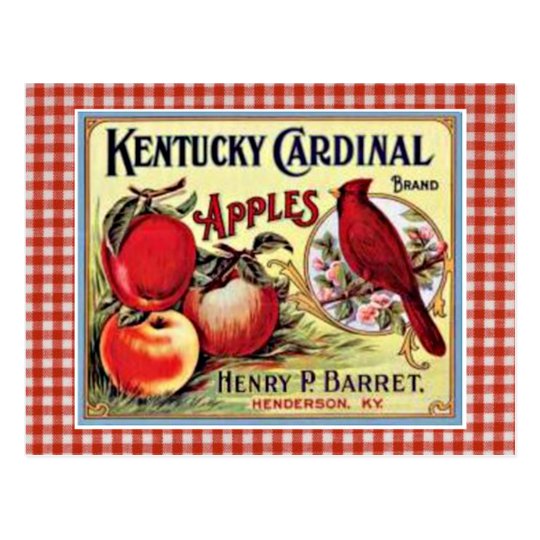 Vintage Apple Ad Postcard