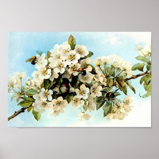 Vintage Apple Blossoms Poster (Front)