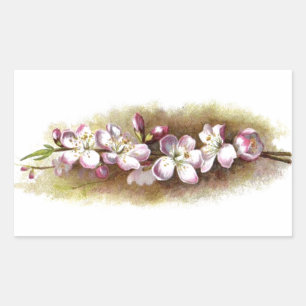 Vintage Apple Blossoms Stickers
