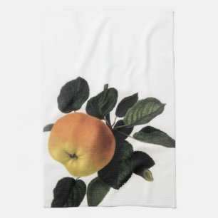 Vintage Apple Branch American MoJo Kitchen Towel