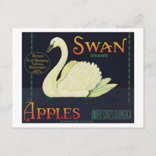 Vintage Apples Food Product Label Postcard