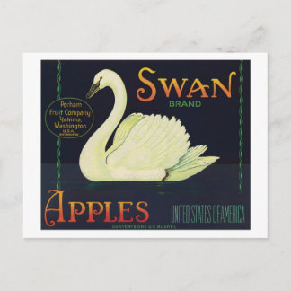 Vintage Apples Food Product Label Postcard