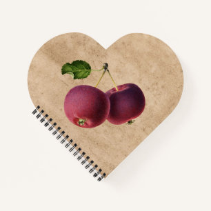 Vintage Apples on a Twig Notebook
