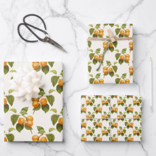 Vintage Apricot Fruit Theme Pattern Wrapping Paper Sheet