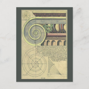 Vintage Architecture; Capital Volute by Vignola Postcard