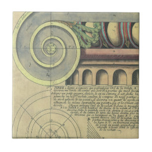 Vintage Architecture; Capital Volute by Vignola Tile