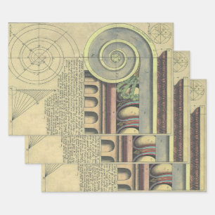 Vintage Architecture; Capital Volute by Vignola Wrapping Paper Sheet