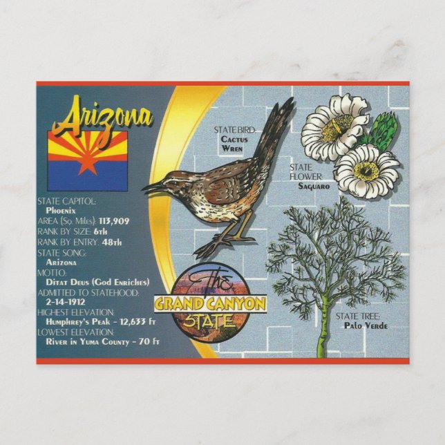 Vintage Arizona The Grand Canyon State Postcard (Front)