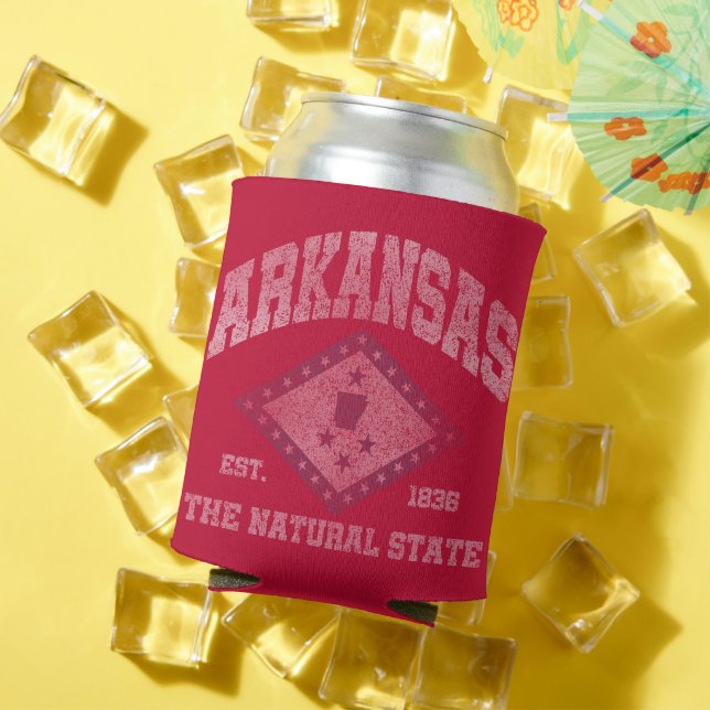 Vintage Arkansas Can Cooler (In Situ Summer)