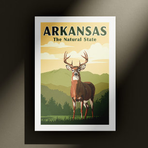 Vintage Arkansas Postcard