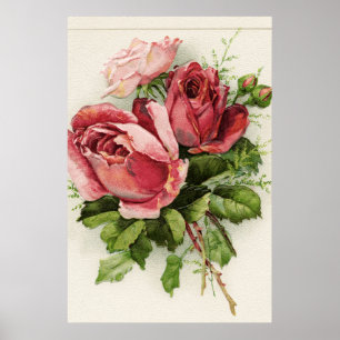 Vintage Art Antique Roses Poster