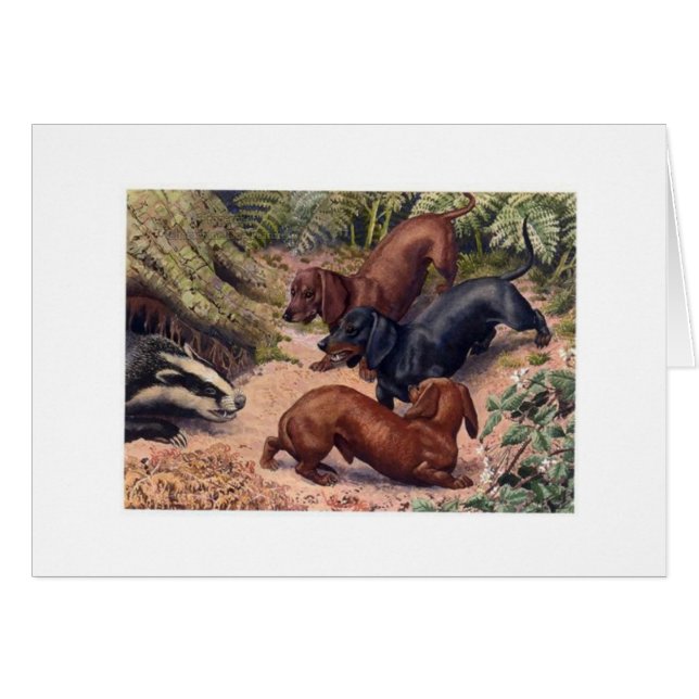 Vintage Art - Dachshunds & a Badger, (Front Horizontal)