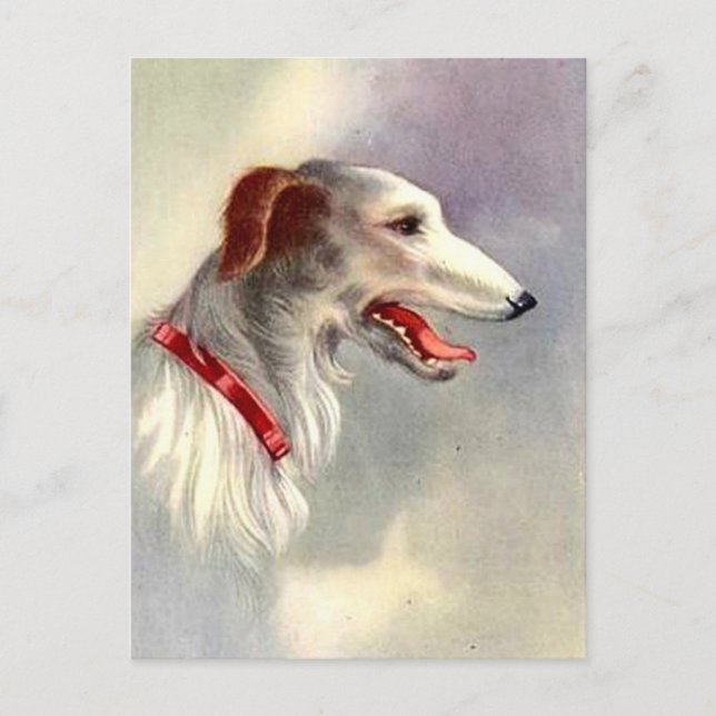 Vintage Art Design Borzoi Dog Postcard (Front)