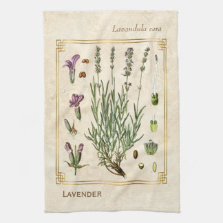 Vintage Art Herbal Lavender Flower Botanical Kitchen Towel