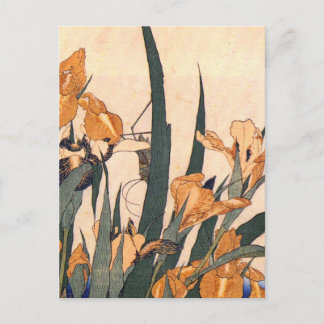 Vintage Art Japanese Iris Flower Postcard