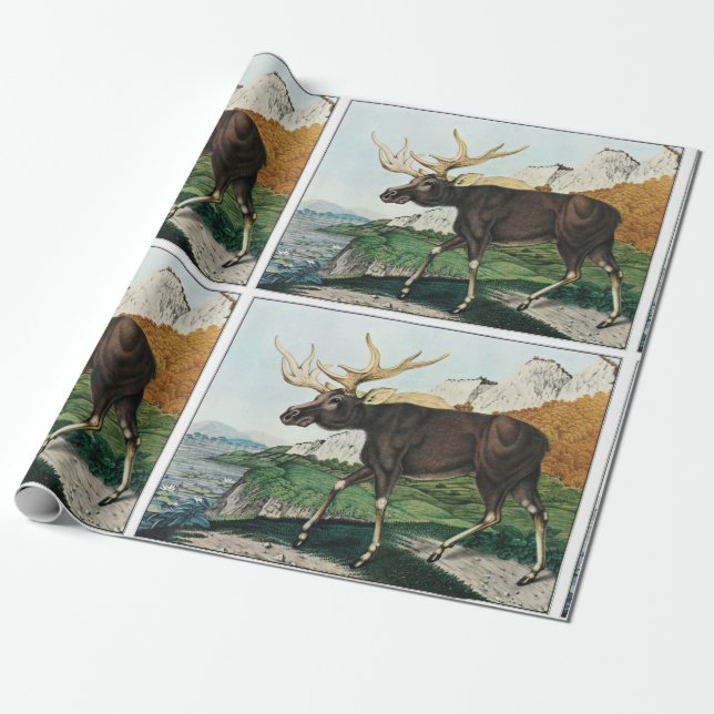 Vintage art moose wrapping paper (Unrolled)