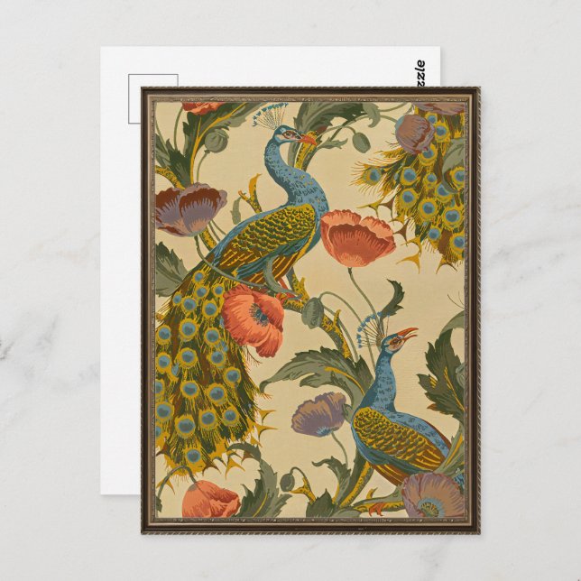 Vintage Art Nouveau 1896 The Peacock Pattern Postcard (Front/Back)