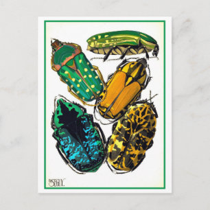 Vintage Art Nouveau Beetles Illustration Postcard