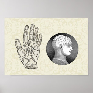 Vintage Art Palmistry and Phrenology diagrams Poster