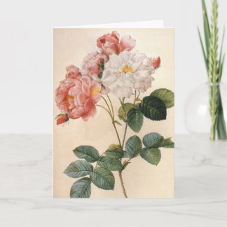 Vintage Art Rose Flower Greeting Card