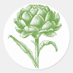 Vintage Artichoke Classic Round Sticker