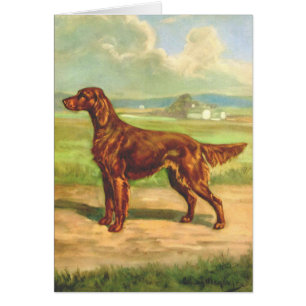 Vintage Artwork - Irish Setter Dog,