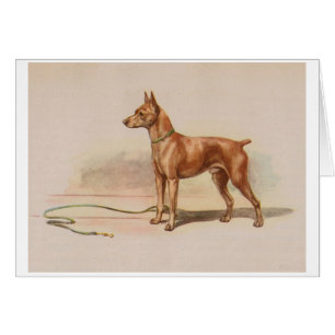Vintage Artwork - Miniature Pinscher Dog,