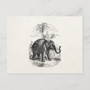 Vintage Asian Elephant Personalized Elephants Postcard