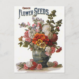 Vintage Assorted Annuals Seed Packet Postcard