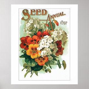 Vintage Assorted Flowers Seed Packet Poster