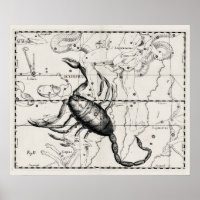 Vintage Astronomy Constellations Celestial Map