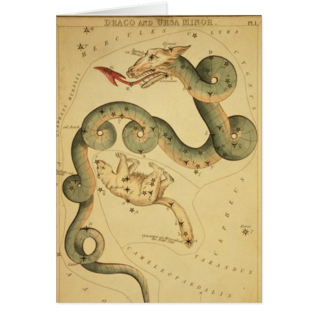 Vintage astronomy print Draco & Ursa Minor (Front)